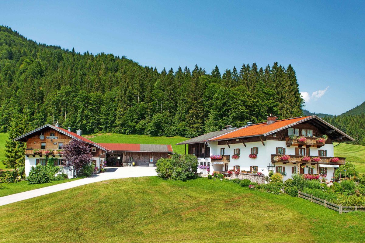 Internetauftritt Hofporträt