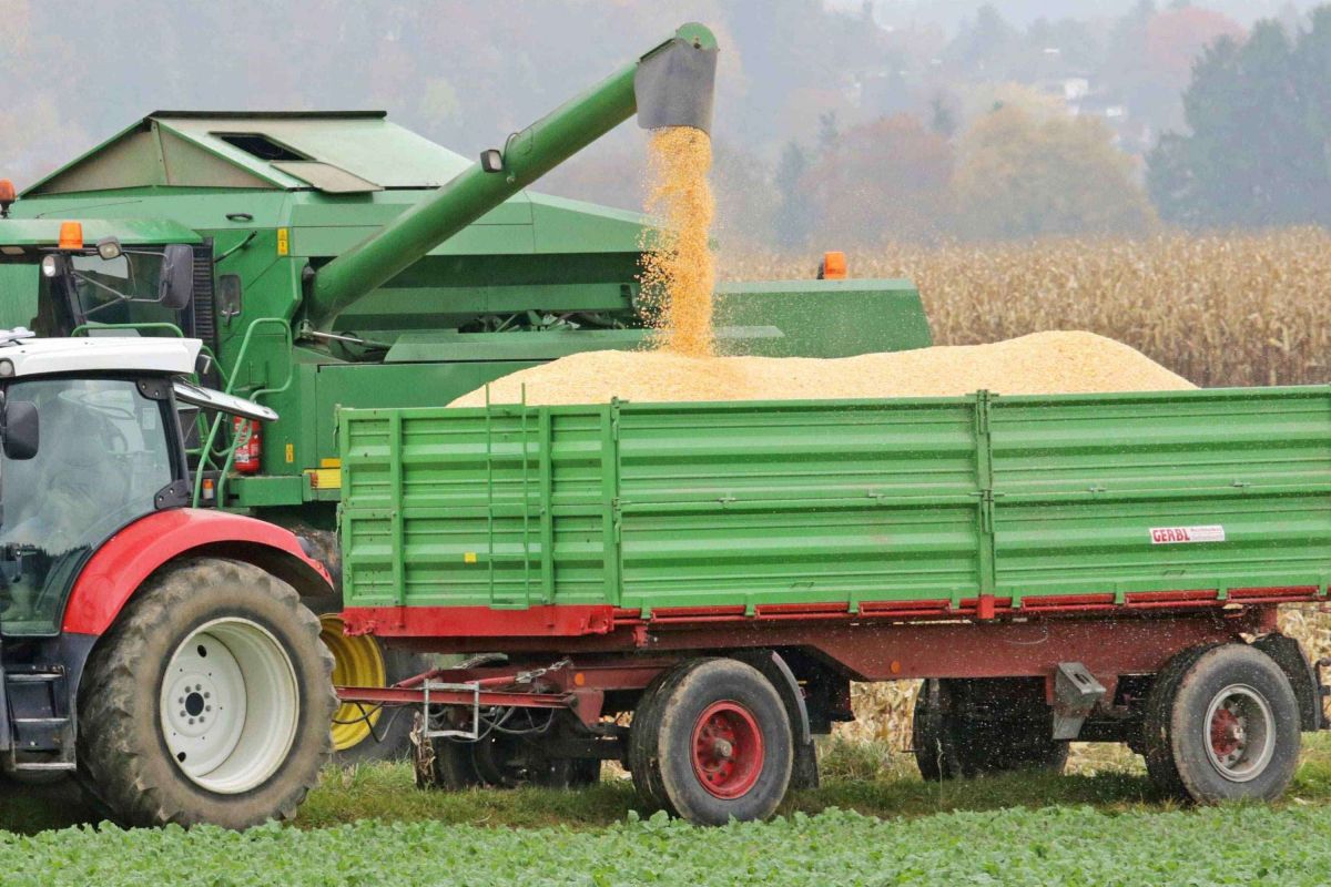 Maschinenring Traunstein